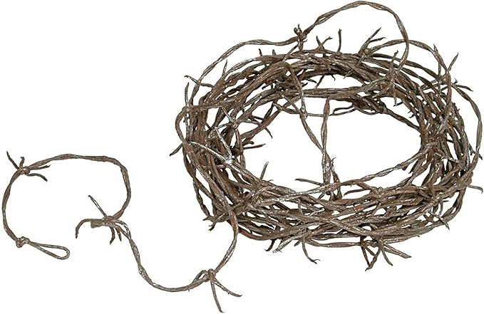 Beistle S00115AZ2 Rusty Barbed Wire Garland 2 Piece, Brown