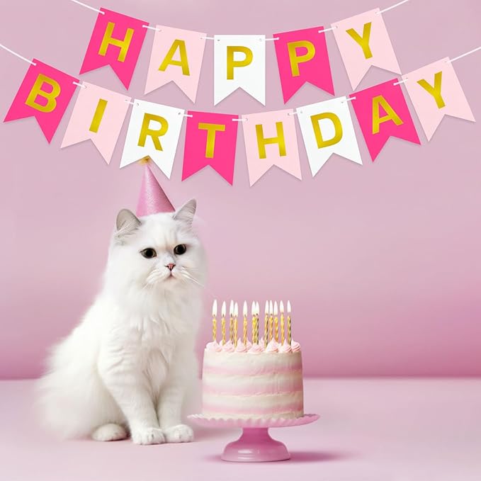 Pre-Strung Pink Happy Birthday Banner Sign, Pink Happy Birthday Party Decorations for Women Girls