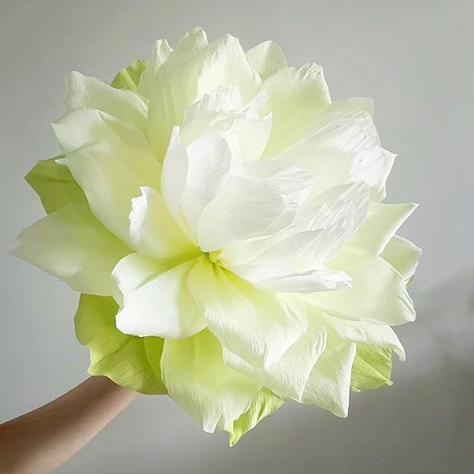 chaekoy 6 Rolls Crepe Paper Streamers, 10 Inch x 8 Feet Flower Making Kits with Floral Tape and Stem Wire for Birthday Party Wedding