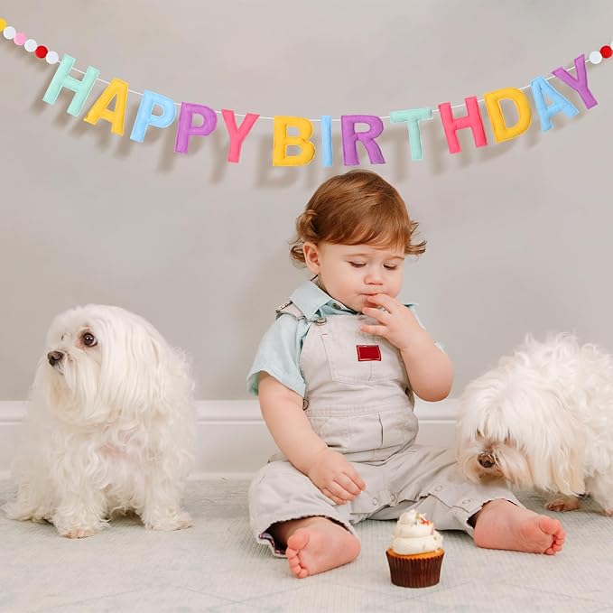 Mindsoft Felt Happy Birthday Garland Rainbow Banner Reusable Happy Birthday Sign Party Supply for Party Decor(Bright Color,Normal)