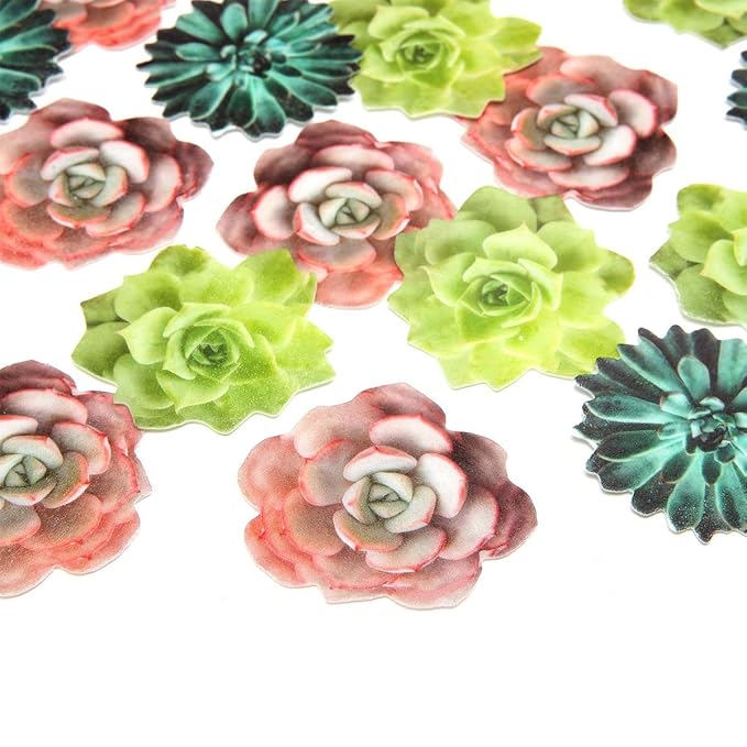 24pcs Edible Cupcake toppers Succulents Hawaiian Party Cake Summer Decoration,Not 3D …