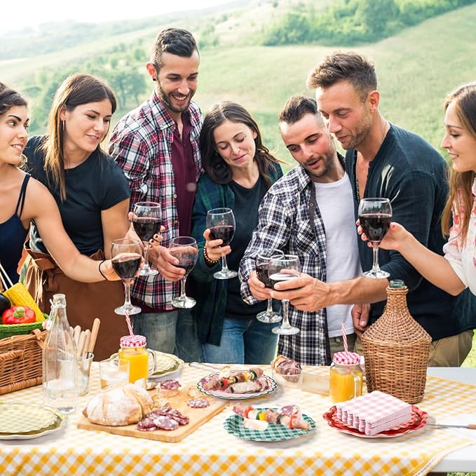 216 Pcs 72 Guests Camp Gingham Party Plates and Napkins Camping Gingham Paper Plates Napkins Checkered Plaid Disposable Tableware for Picnic BBQ Bachelorette Baby Bridal Shower Party Supplies