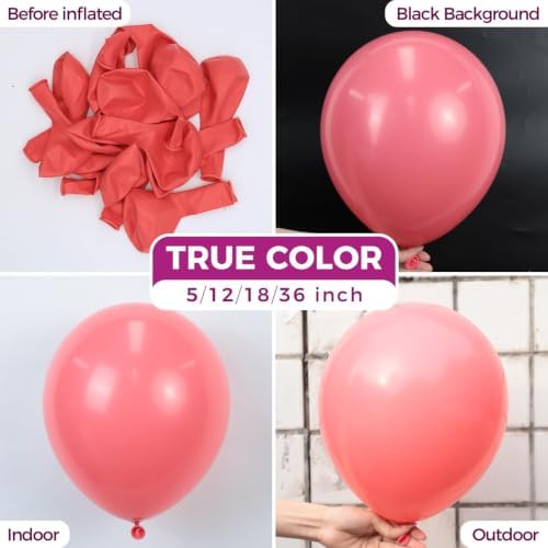 Bezente Coral Latex Party Balloons 150 Pack 5 inch
