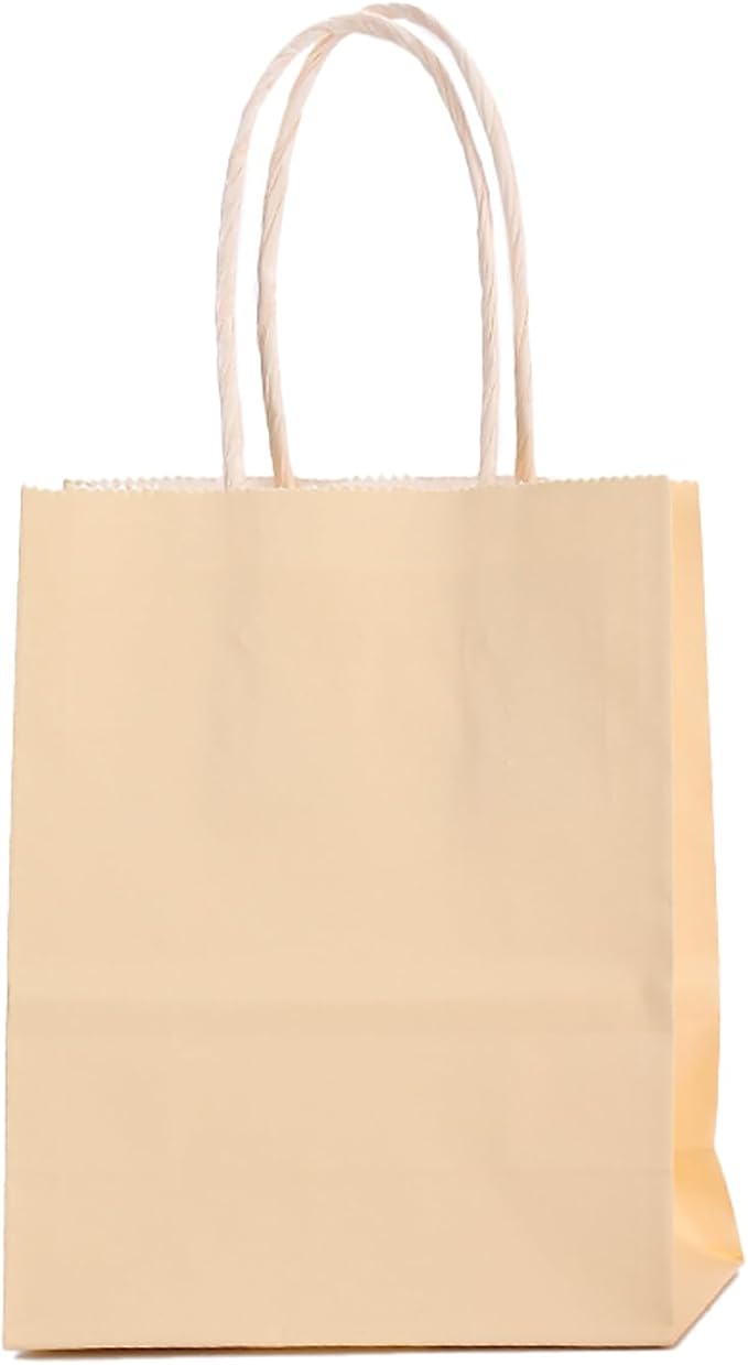ADIDO EVA 25 Pcs Macaron Orange Gift Bags Small Paper Bags with Handles for Party Favor (8.2 x 6 x 3.1 in)