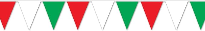 RWG Indoor/Outdoor Pennant Banner Party Accessory (1 count) (1/Pkg)