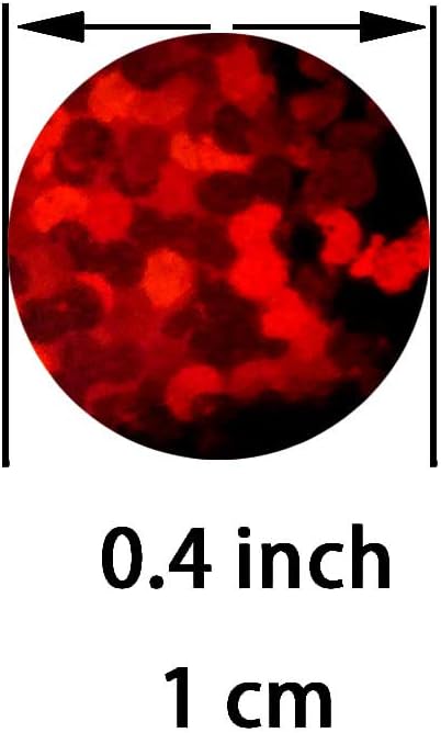 Sparkle Red Foil Metallic Round Table Confetti Decor Circle Dots Mylar Table Scatter Confetti Wedding Bachelorette Valentines Mothers Day Baby Shower Birthday New Years Party Confetti Decoration, 60g
