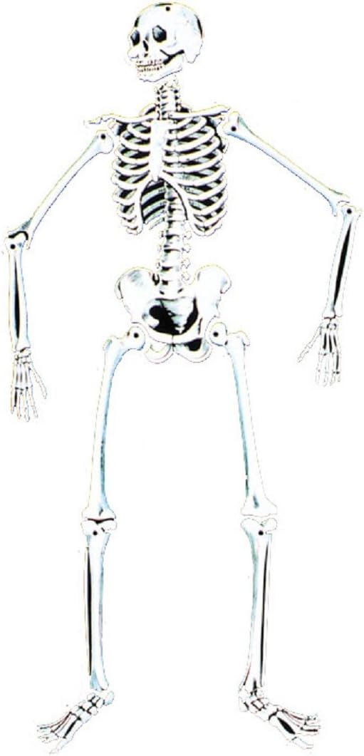 Skeleton 55''Glow Cardboard