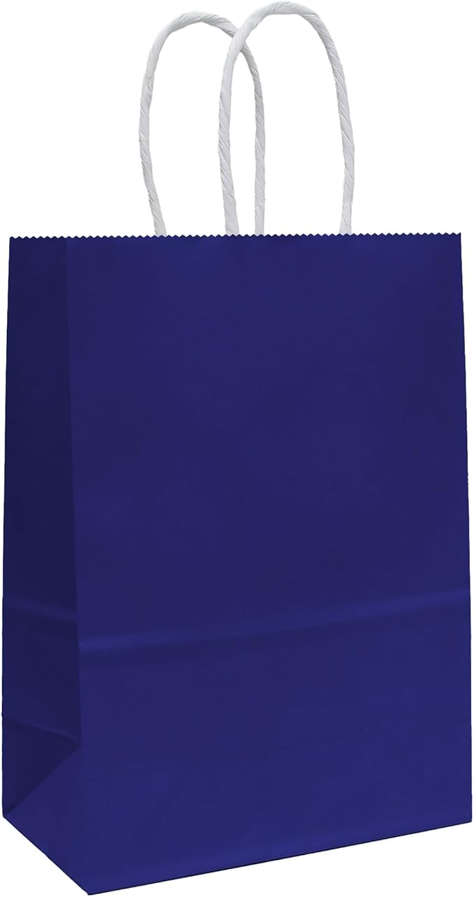 25 PCS Small Gift Bags Blue Kraft Paper Bags with Handles for Party Favors (8.2 x 6 x 3.1 In)