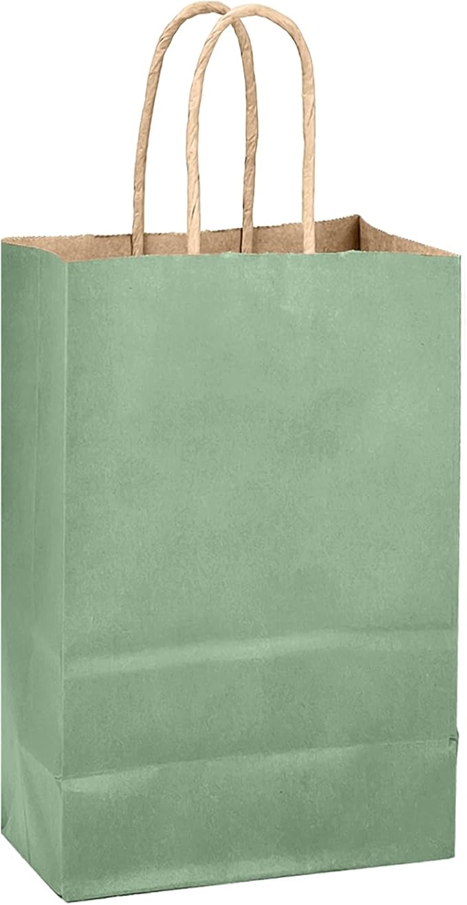 qiqee Aqua Green Gift Bag with Handles Bulk 24Pcs Paper Bags -10.6"x8.3"x4.3"Party Favor Bags - Solid Color