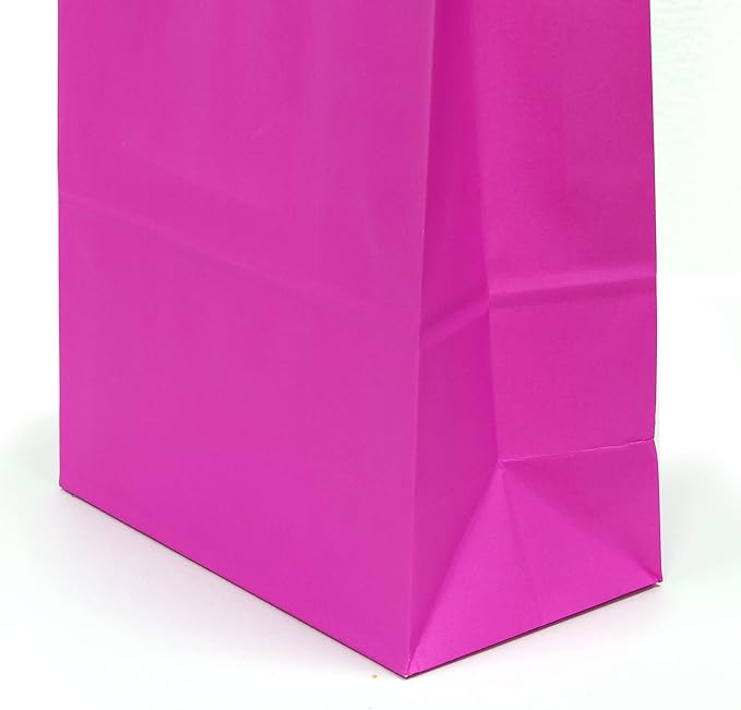 25 PCS Small Gift Bags Hot Pink Kraft Paper Bags with Handles for Party Favors (8.2 x 6 x 3.1 In)