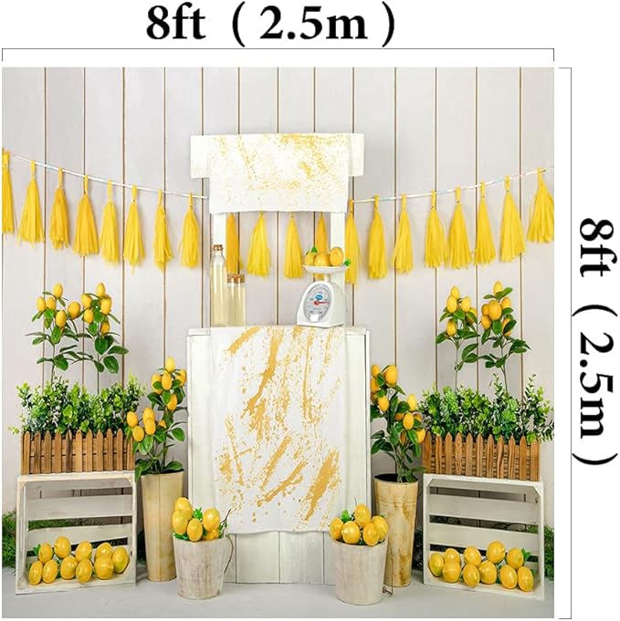 Kate Lemon Shop Backdrop Photography 8x8ft Kids Birthday Party Decoration Photo Backgrounds White Wood Wall Seamless Soft Fabric Backdrop Shooting