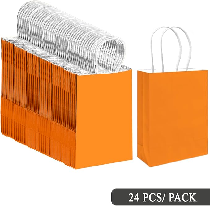 qiqee 24PCS Small Gift Bag with Handles Bulk 8.3"x6"x3" Gift Bags Salmon Bags Multiple Uses (Small Size)