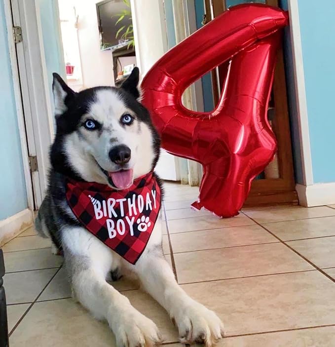 Number 6 Balloon 40 Inch, 6 7 Six Seven Birthday Decorations, 6th Birthday Balloon for Men Women, Red 16 60 61 65 Numbers Balloons Graduations Anniversary Supplies