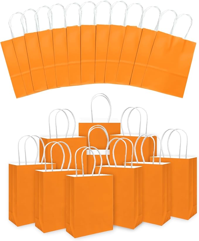 qiqee 24PCS Small Gift Bag with Handles Bulk 8.3"x6"x3" Gift Bags Salmon Bags Multiple Uses (Small Size)