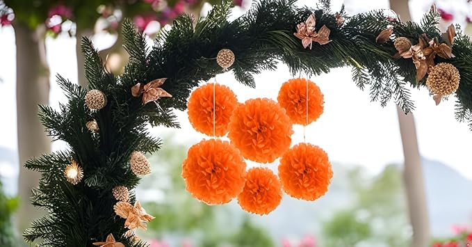 Binpeng Paper Pom Poms Hanging Paper Flower Ball Wedding Party Celebrations Decorations Outdoor Decoration Flowers Craft for Party Birthday Party (BIN-Orange 6pk)