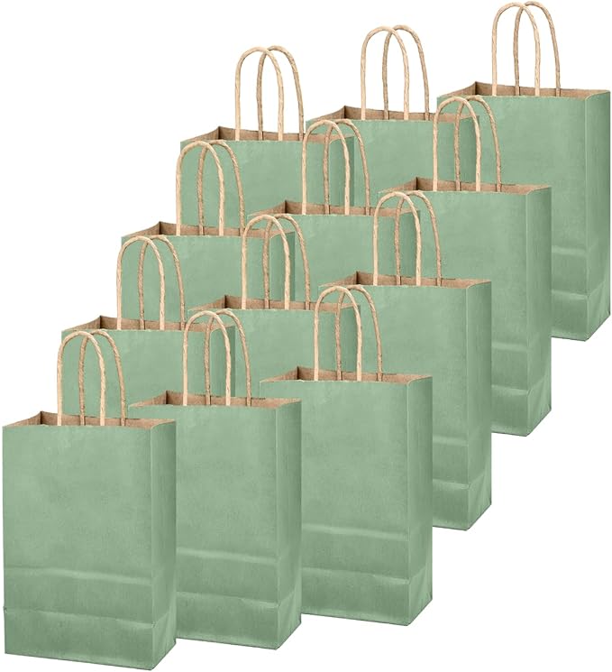 qiqee Aqua Green Gift Bag with Handles Bulk 24Pcs Paper Bags -10.6"x8.3"x4.3"Party Favor Bags - Solid Color