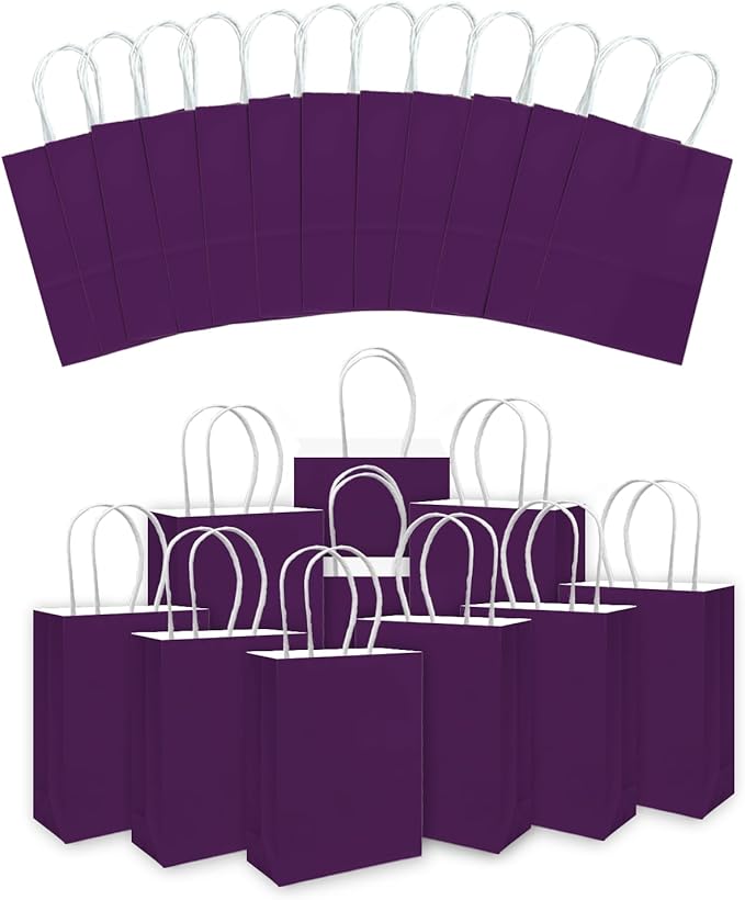 qiqee 24PCS Small Gift Bag with Handles Bulk 8.3"x6"x3" Gift Bags Cardamom Purple Bags Multiple Uses (Small Size)