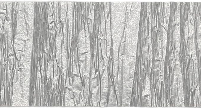 Metallic Silver Crepe Paper Streamers 2 Rolls Made in USA