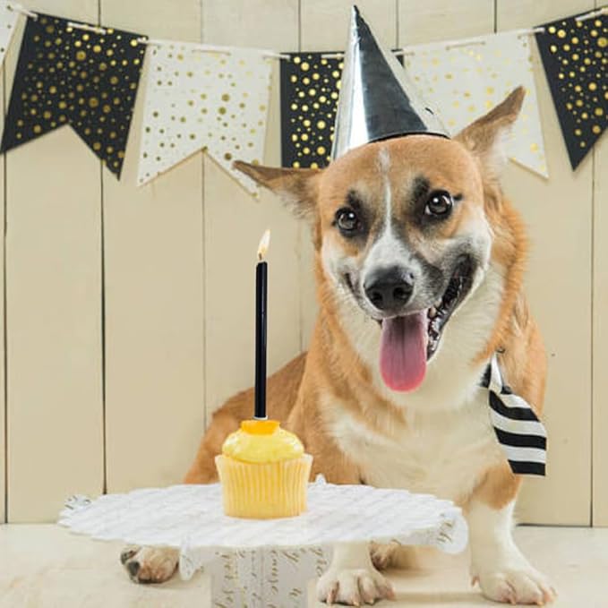 12 Count Long Thin Champagne Black Birthday Cake Candles in Holders for Birthday Wedding Party Cupcake Decorations Tall Candle