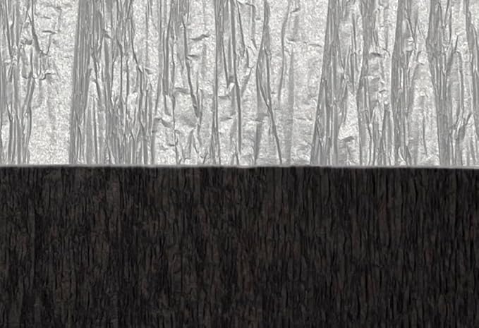 Black and Metallic Silver Crepe Paper Streamers, 4 Rolls Total, Made in USA
