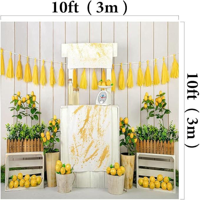 Kate Lemon Shop Backdrop Photography 10x10ft Kids Birthday Party Decoration Photo Backgrounds White Wood Wall Seamless Soft Fabric Backdrop Shooting