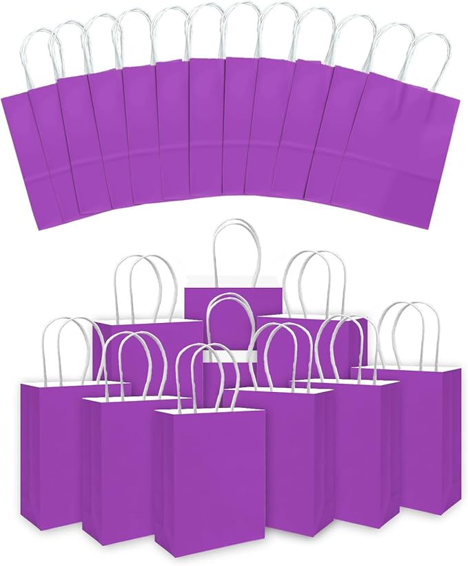 qiqee 24PCS Small Gift Bag with Handles Bulk 8.3"x6"x3" Gift Bags Violet Bags Multiple Uses (Small Size)