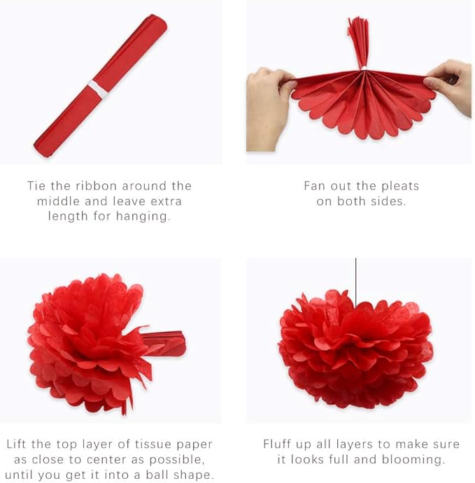 Mouse Ladybug Pirate Birthday Party Decorations, Red White Black Hanging Paper Fans Pom Poms Flowers Tissue Tassel Garland for BBQ Graduation Retirement Halloween