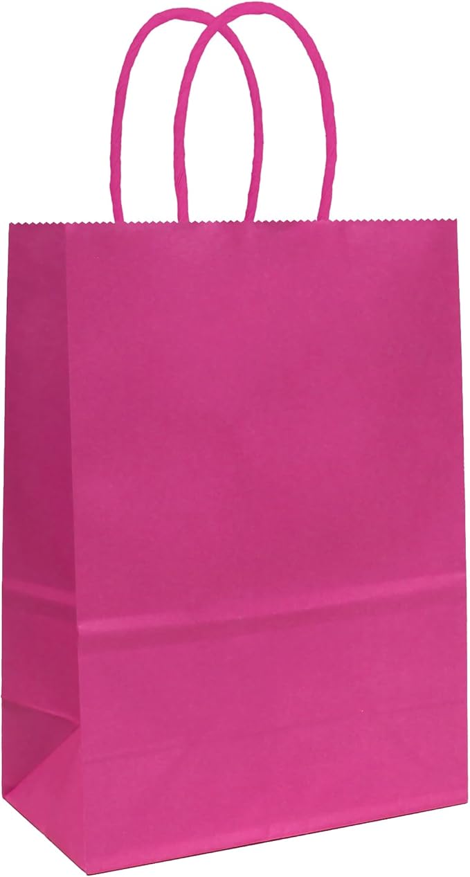 ADIDO EVA 25 PCS Hot Pink Gift Bags Small Paper Bags with Handles for Party Favor (8.2 x 6 x 3.1 in, Hot Pink)