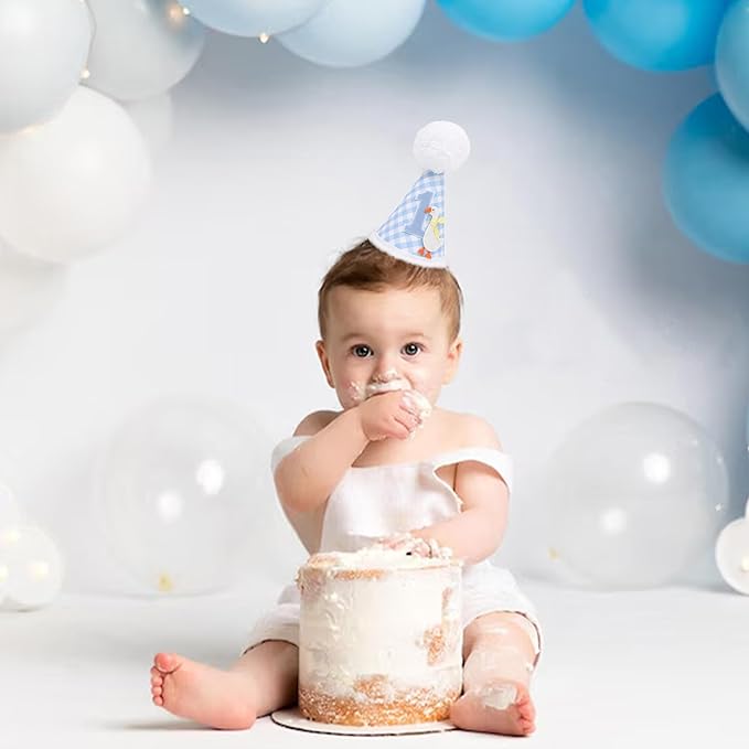 One Funny Goose Birthday Hat - Goose 1st Birthday Decorations, Blue Gingham 1st Bday Party Hat for Boys, One Goosie First Bday Crown