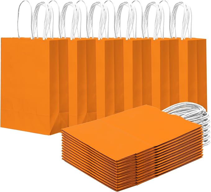 qiqee 24PCS Small Gift Bag with Handles Bulk 8.3"x6"x3" Gift Bags Salmon Bags Multiple Uses (Small Size)