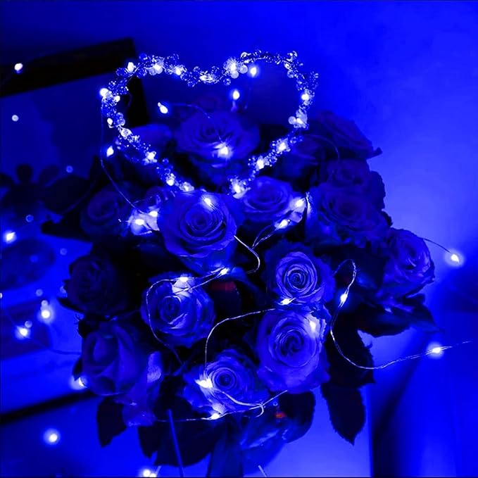 LAMPHOME 6 Pack Fairy Lights Battery Operated String Lights 6.6ft 20 Led Mason Jar Lights Waterproof Silver Wire Light Fireflies DIY Party Wedding Christmas Decoration(6 Pack,Multicolour)