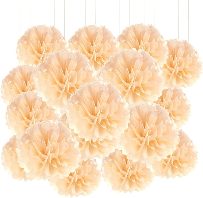 Qimoo 20pcs Peach Paper Pom Poms Decorations, DIY Decorative Tissue Paper Pom-poms Flowers Ball for Party Wedding Outdoor Decoration