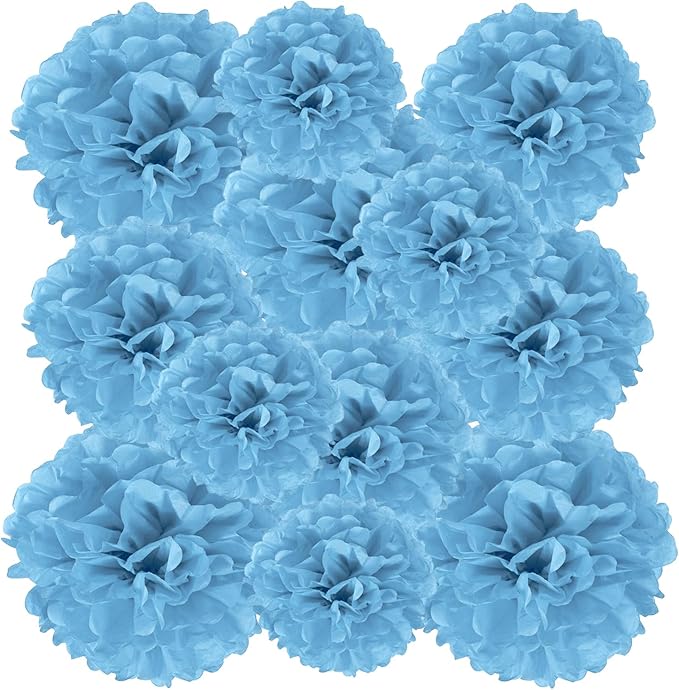 PATIKIL 8" 10" 12" Tissue Paper Pom Poms, 12PCS Pom Poms Paper Flowers Ball Tissue Paper Flowers Assorted Size for Wedding Bridal Shower Birthday Party Backdrop Decoration, Lake Blue
