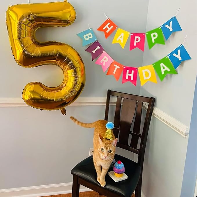 Rainbow Happy Birthday Banner Colorful Sign Party Decorations for Women Men Girls Boys