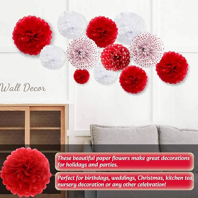 Qimoo 20pcs Red Paper Pom Poms Decorations, DIY Tissue Paper Flowers Ball for Party Wedding Outdoor Decoration
