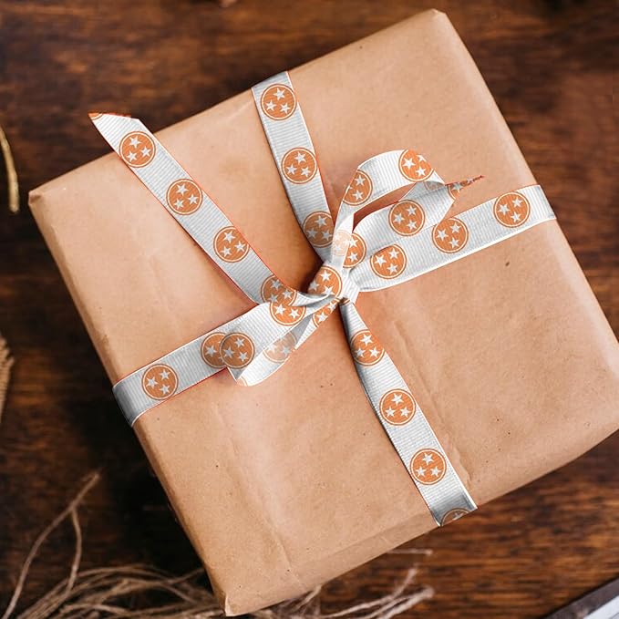 Hying 4 PCS Tennessee Ribbons for Crafting, 3/8" Width Orange White Grosgrain Ribbons Buffalo Plaid Ribbon Tennessee Letters Craft Ribbons for Gift Wrapping DIY Sports Birthday Decorations-20 Yards