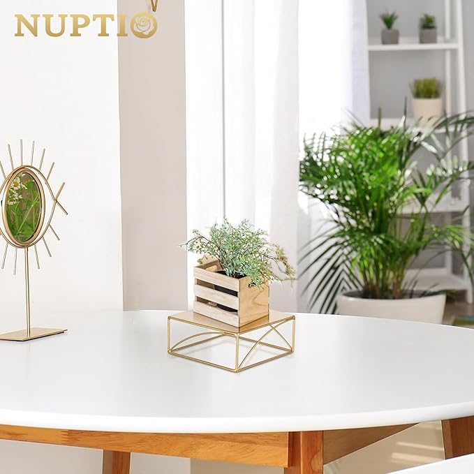 NUPTIO Cake Stand Cupcake Display: Metal Dessert Pedestal Stands 8 Inch Food Riser Gold candy Display holder for Wedding Party Christmas Birthday Kitchen Table Baby Shower Square Buffet Plant Stand