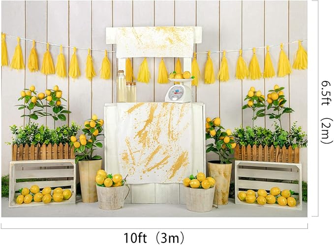 Kate Lemon Shop Backdrop Photography 10x6.5ft Kids Birthday Party Decoration Photo Backgrounds White Wood Wall Seamless Soft Fabric Backdrop Shooting