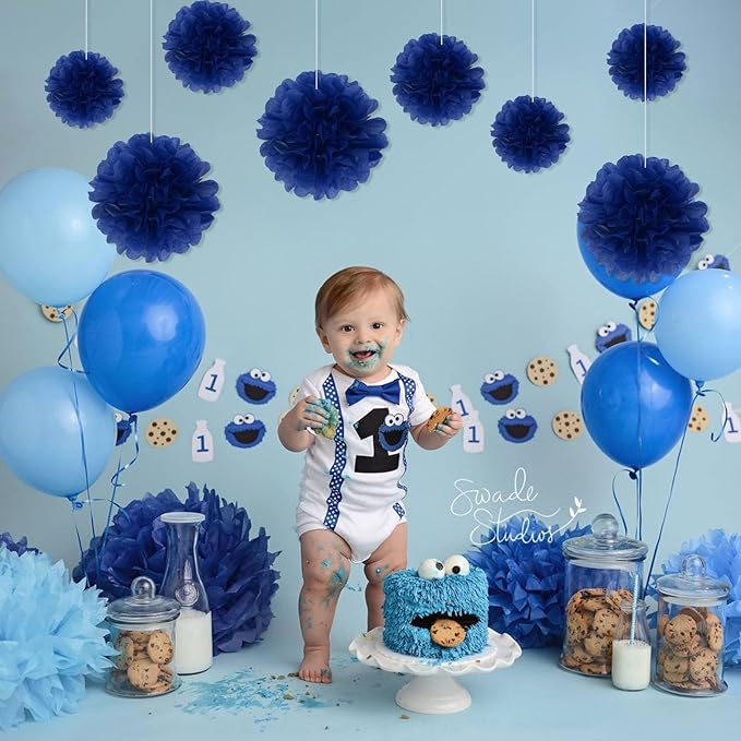 20 PCS Royal Blue Tissue Paper Pom Poms, Tissue Pom Poms Flowers, Sizes of 6", 10", 12", 14" Hanging Paper Flower Ball for Wedding, Birthday, Halloween, Christmas, Baby Shower Party Decor