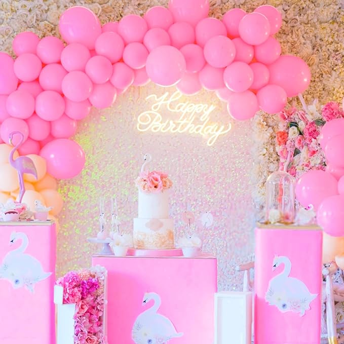 Pink Balloons 100 pcs 12 Inch Matte Pink Balloon for Baby Shower Valentine's Day Princess Bachelorette Birthday Party Decorations