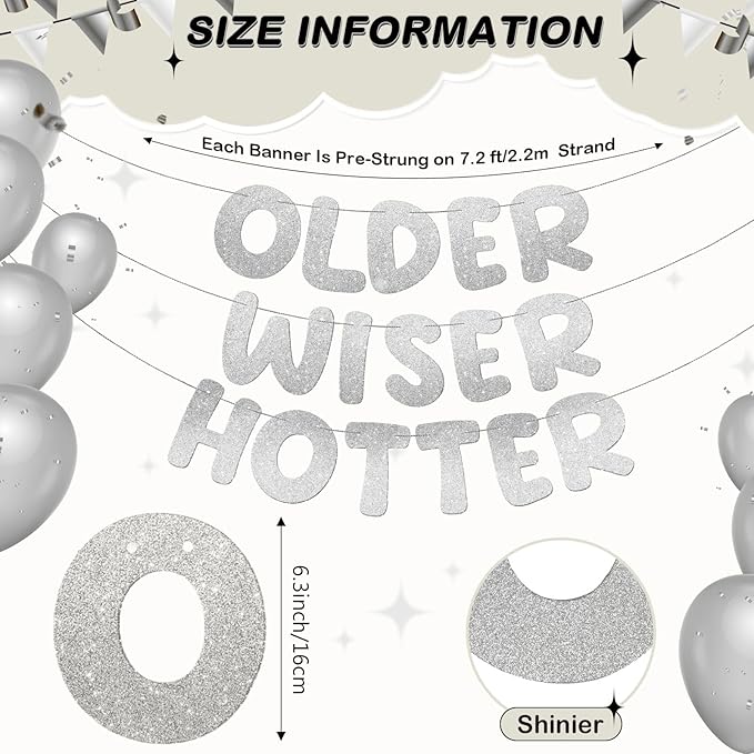 Fulmoon Set of 3 Pre Strung Older Wiser Hotter Glitter Banner Funny Birthday Banner for Women 30th 40th 50th 60th 70th 80th Birthday Party Decorations Sign Gift(Silver)