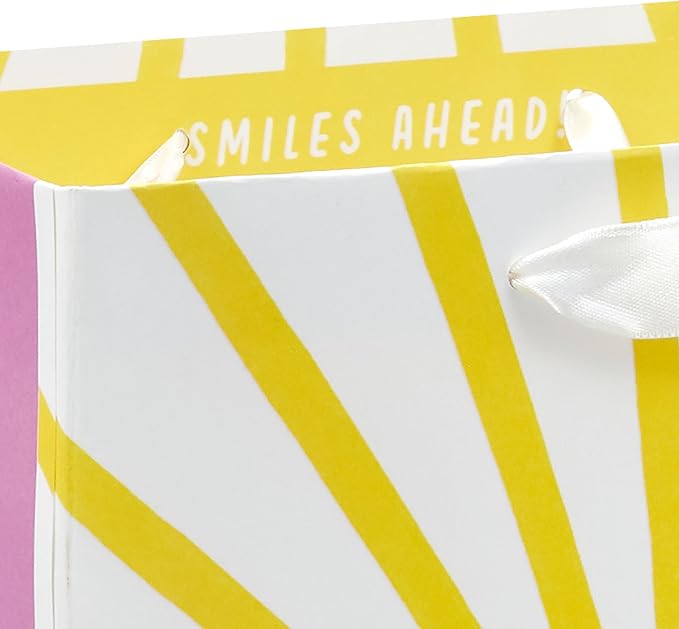 Hallmark Assorted Birthday Gift Bags (8 Bags: 3 Small 6", 3 Medium 9", 2 Large 13") Smiling Sun, Balloons, Cute Flowers and Plants