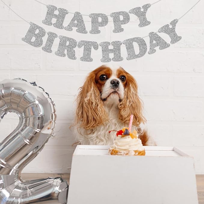 Silver Happy Birthday Banner Birthday Party Decorations Happy Birthday Banner Bunting Garland Sign for Kids Boys Girls Adults Birthday Baby Shower Celebration Party Backdrops Supplies