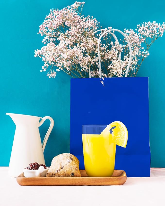 qiqee 24PCS Small Gift Bag with Handles Bulk 8.3"x6"x3" Gift Bags Diamond Blue Bags Multiple Uses (Small Size)