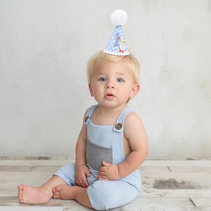 One Funny Goose Birthday Hat - Goose 1st Birthday Decorations, Blue Gingham 1st Bday Party Hat for Boys, One Goosie First Bday Crown
