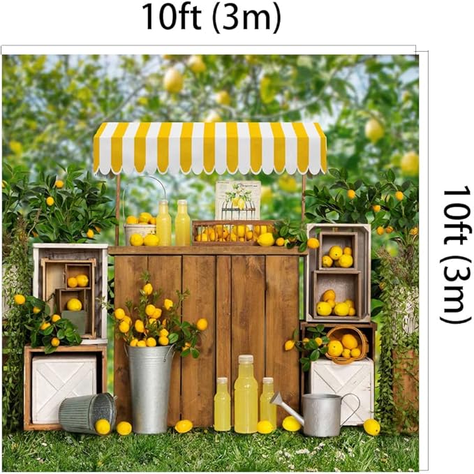 Kate 10x10ft Summer Lemon Shop Backdrops for Photography Lemonade Theme Party Decoration Background Lemon Juice Lemon Tree Backgrounds Sweet Baby 1st Birthday Party Studio Backdrop