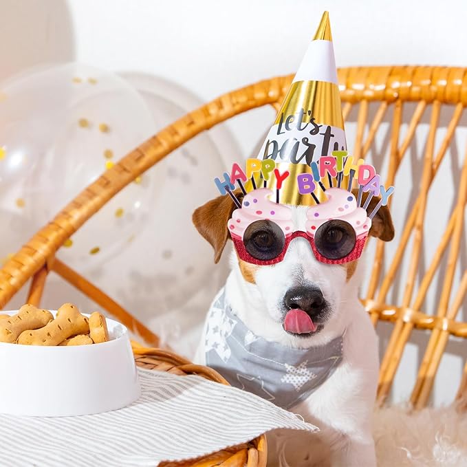 Funny Sunglasses & Costume Masks for Birthday Parties, Multi-Shaped Novelty Shades to Add Humor to Any Festivity