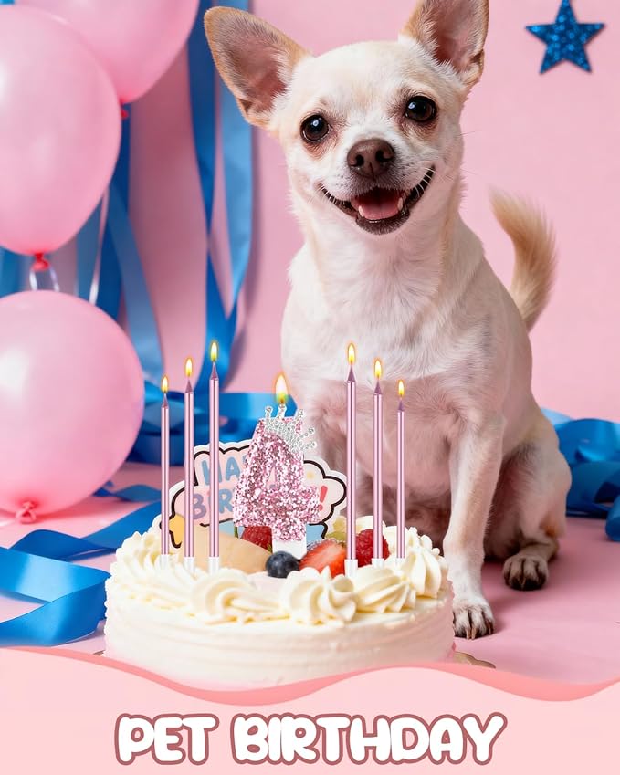 Birthday Candles for Cake, Pink Number Candles, Cake Candles with Greeting Card for Birthday Party Wedding Anniversary Celebrations (4 Candle, Silver Crown)