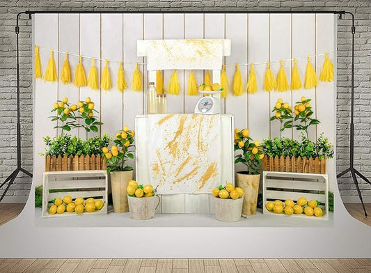 Kate Lemon Shop Backdrop Photography 10x6.5ft Kids Birthday Party Decoration Photo Backgrounds White Wood Wall Seamless Soft Fabric Backdrop Shooting