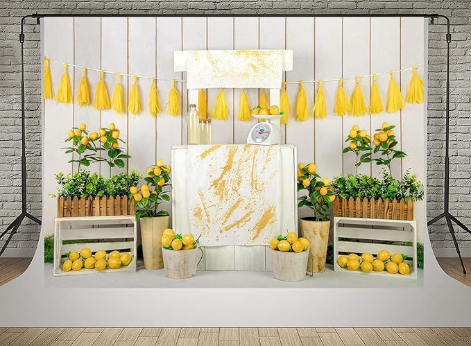 Kate Lemon Shop Backdrop Photography 8x8ft Kids Birthday Party Decoration Photo Backgrounds White Wood Wall Seamless Soft Fabric Backdrop Shooting